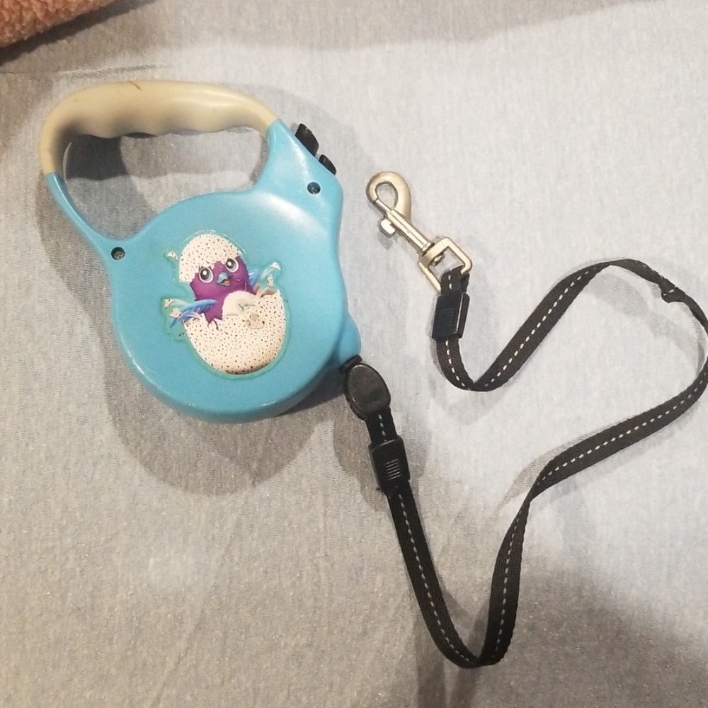 Dog leash